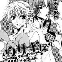  ����� My Boyfriend the Rabbit <small>Story & Art</small> 